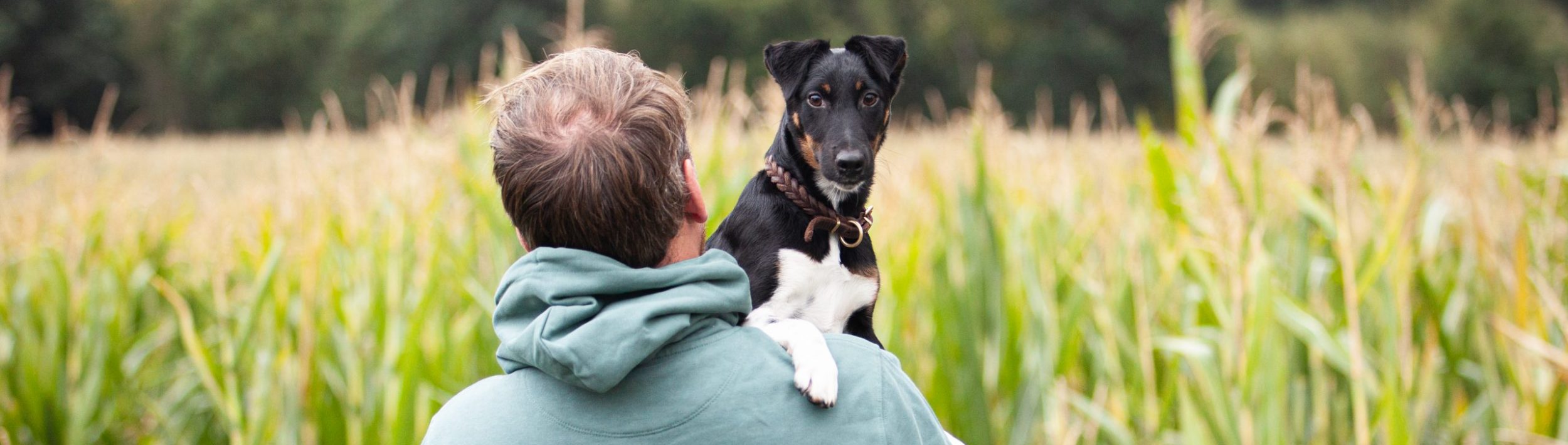 Deutscher Foxterrier-Verband e.V.
